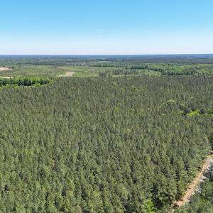 Photo #25 of Off of Concord Sappony Rd, Stony Creek, VA 28.0 acres