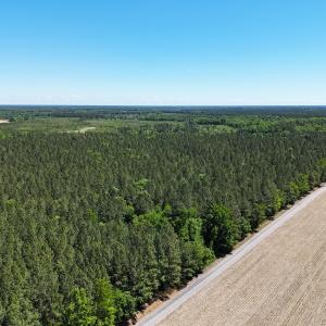Photo #26 of Off of Concord Sappony Rd, Stony Creek, VA 28.0 acres