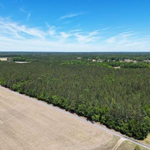 Photo #27 of Off of Concord Sappony Rd, Stony Creek, VA 28.0 acres