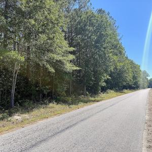 Photo #28 of Off of Concord Sappony Rd, Stony Creek, VA 28.0 acres