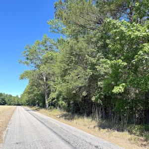 Photo #3 of Off of Concord Sappony Rd, Stony Creek, VA 28.0 acres