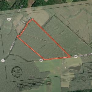 Photo #30 of Off of Concord Sappony Rd, Stony Creek, VA 28.0 acres