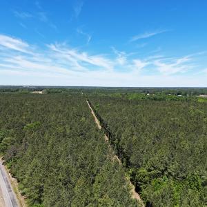 Photo #5 of Off of Concord Sappony Rd, Stony Creek, VA 28.0 acres