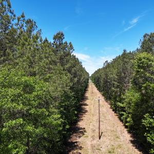 Photo #6 of Off of Concord Sappony Rd, Stony Creek, VA 28.0 acres