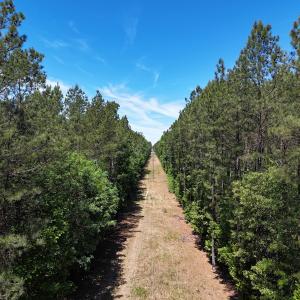 Photo #9 of Off of Concord Sappony Rd, Stony Creek, VA 28.0 acres