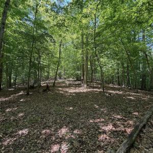 Photo #14 of Off Dylan Ct., Pittsville, VA 0.5 acres