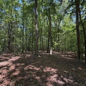 Photo #3 of Off Dylan Ct., Pittsville, VA 0.5 acres