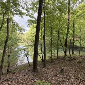 Photo #5 of Off Dylan Ct., Pittsville, VA 0.5 acres