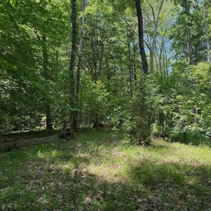 Photo #8 of Off Dylan Ct., Pittsville, VA 0.5 acres