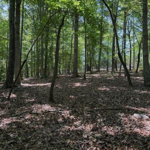 Photo #40 of Off Dylan Ct., Pittsville, VA 0.5 acres