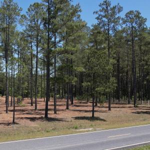 Photo #10 of Off of Dowd Dairy Rd, White Oak, NC 8.4 acres