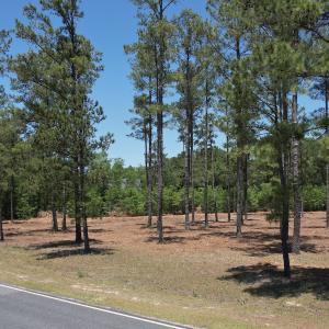 Photo #11 of Off of Dowd Dairy Rd, White Oak, NC 8.4 acres