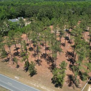Photo #12 of Off of Dowd Dairy Rd, White Oak, NC 8.4 acres