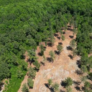 Photo #13 of Off of Dowd Dairy Rd, White Oak, NC 8.4 acres