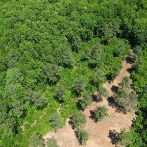 Photo #14 of Off of Dowd Dairy Rd, White Oak, NC 8.4 acres