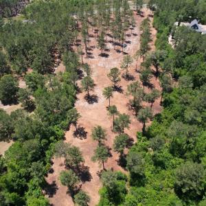 Photo #16 of Off of Dowd Dairy Rd, White Oak, NC 8.4 acres