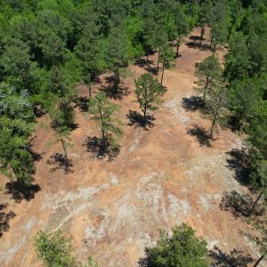 Photo #19 of Off of Dowd Dairy Rd, White Oak, NC 8.4 acres