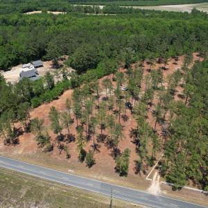 Photo #1 of Off of Dowd Dairy Rd, White Oak, NC 8.4 acres