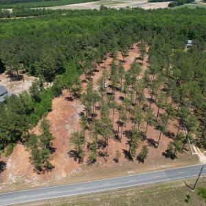 Photo #2 of Off of Dowd Dairy Rd, White Oak, NC 8.4 acres