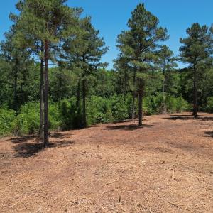 Photo #23 of Off of Dowd Dairy Rd, White Oak, NC 8.4 acres