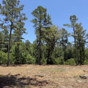 Photo #29 of Off of Dowd Dairy Rd, White Oak, NC 8.4 acres
