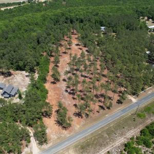 Photo #3 of Off of Dowd Dairy Rd, White Oak, NC 8.4 acres