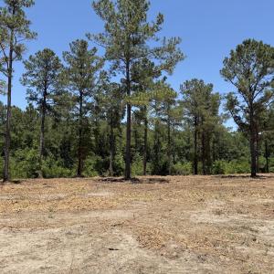 Photo #30 of Off of Dowd Dairy Rd, White Oak, NC 8.4 acres