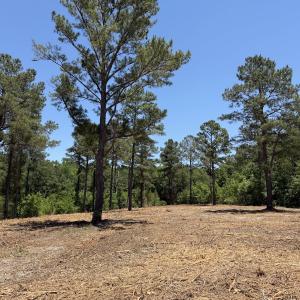 Photo #31 of Off of Dowd Dairy Rd, White Oak, NC 8.4 acres