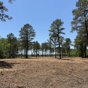 Photo #32 of Off of Dowd Dairy Rd, White Oak, NC 8.4 acres