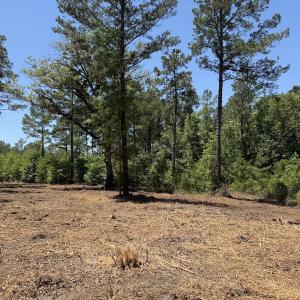Photo #33 of Off of Dowd Dairy Rd, White Oak, NC 8.4 acres