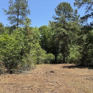 Photo #35 of Off of Dowd Dairy Rd, White Oak, NC 8.4 acres
