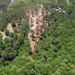 Photo #4 of Off of Dowd Dairy Rd, White Oak, NC 8.4 acres