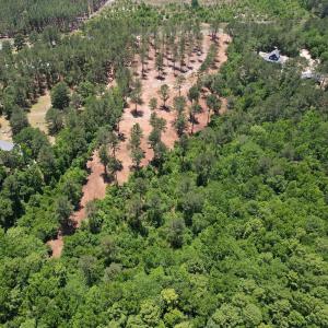 Photo #5 of Off of Dowd Dairy Rd, White Oak, NC 8.4 acres