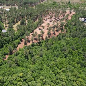 Photo #6 of Off of Dowd Dairy Rd, White Oak, NC 8.4 acres