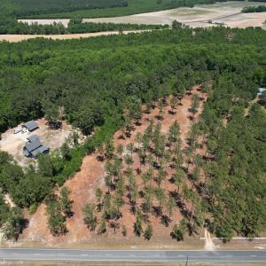 Photo #8 of Off of Dowd Dairy Rd, White Oak, NC 8.4 acres