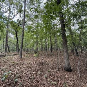 Photo #14 of Off Elfman Dr, Spring Lake, NC 0.5 acres