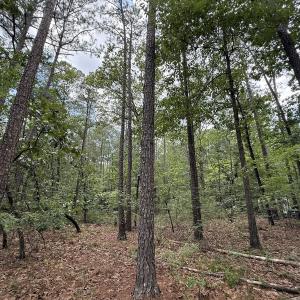 Photo #15 of Off Elfman Dr, Spring Lake, NC 0.5 acres