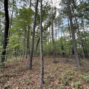 Photo #16 of Off Elfman Dr, Spring Lake, NC 0.5 acres