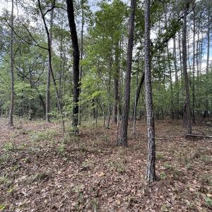 Photo #2 of Off Elfman Dr, Spring Lake, NC 0.5 acres