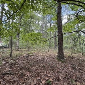 Photo #20 of Off Elfman Dr, Spring Lake, NC 0.5 acres