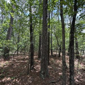 Photo #21 of Off Elfman Dr, Spring Lake, NC 0.5 acres