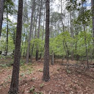 Photo #8 of Off Elfman Dr, Spring Lake, NC 0.5 acres