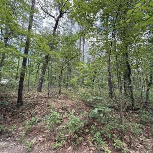 Photo #9 of Off Elfman Dr, Spring Lake, NC 0.5 acres