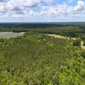 Photo #13 of Off of Ruby's Ln., Maysville, NC 5.3 acres