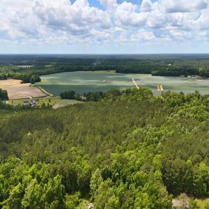 Photo #18 of Off of Ruby's Ln., Maysville, NC 5.3 acres