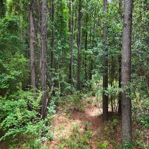 Photo #22 of Off of Ruby's Ln., Maysville, NC 5.3 acres