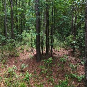 Photo #23 of Off of Ruby's Ln., Maysville, NC 5.3 acres