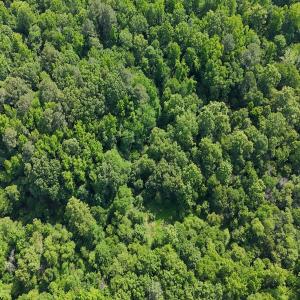 Photo #12 of Off Tar River Rd, Oxford, NC 14.7 acres