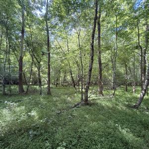 Photo #15 of Off Tar River Rd, Oxford, NC 14.7 acres