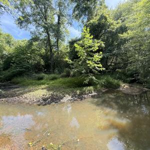 Photo #16 of Off Tar River Rd, Oxford, NC 14.7 acres